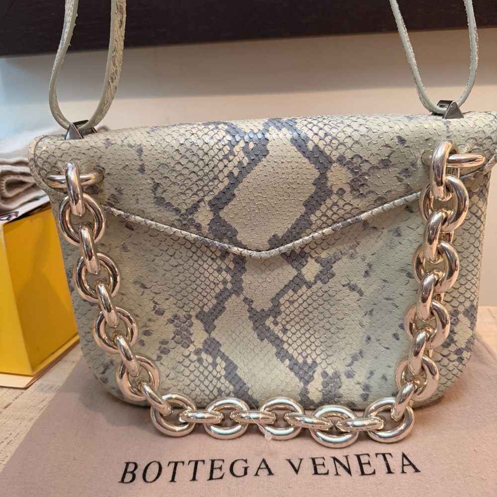 Bottega Veneta Mount Python Envelope Bag - Picture 2 of 11